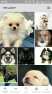 With Dog - Photo sharing SNS app for dogs(AI) screenshot 0