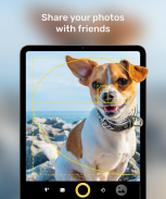 Golden Ratio Camera screenshot 3
