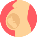 Guia para Embarazadas Primerizas Gratis