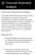 Financial Statement Analysis screenshot 0