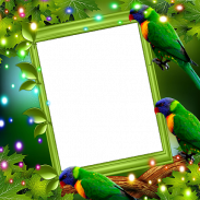 Rainbow Lorikeet Insta DP screenshot 0