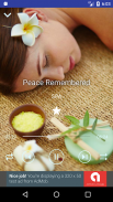 Relaxing Music Collection screenshot 2