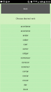 Verbos Irregulares screenshot 4