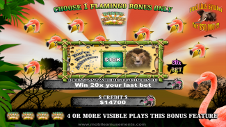 Flamingo Safari Slots screenshot 7