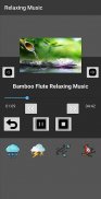 Relaxing Music Offline screenshot 15