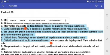 Rugăciuni Creştine Ortodoxe screenshot 2