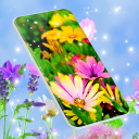 Spring Flowers Live Wallpaper Icon
