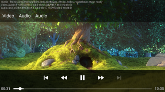 DoryCast - Video Player screenshot 0