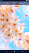 Sakura Flower Live Wallpaper screenshot 6