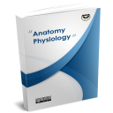 Anatomy and Physiology