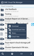 File Fabric Multi-Cloud File Manager screenshot 3