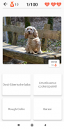 Hondenrassen-Quiz over honden! screenshot 0