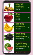 Learn Kannada From English Pro screenshot 12