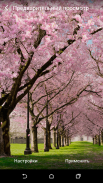 Spring Cherry Blossom Live Wallpaper FREE screenshot 8