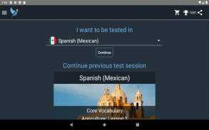 Mexican Spanish Language Tests screenshot 7