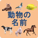 Animals names in Japanese