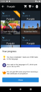 Punjabi Language Tests screenshot 2