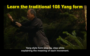 Yang Tai Chi for Beginners 1 b screenshot 8