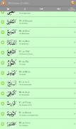 99 Allah Names (Islam) screenshot 6