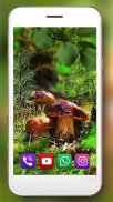 Forest Berries and Mushrooms Live Wallpaper screenshot 5