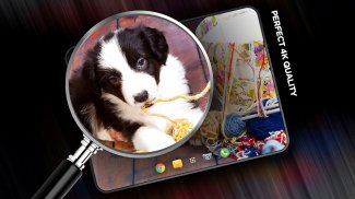 Puppies Wallpapers in 4K screenshot 5