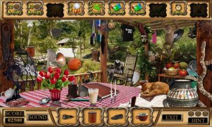 Last Cottage Top Hidden Object screenshot 0