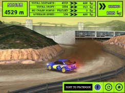 Rally Racer Dirt screenshot 16