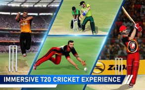 T20 Cricket Champions 3D screenshot 10