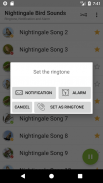 canto dos pássaros Nightingale - Appp.io screenshot 2