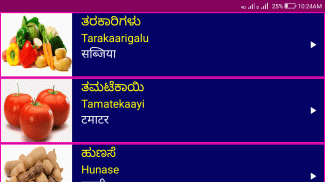 Learn Kannada From Hindi Pro screenshot 0