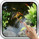 Magic Touch: Realistic Koi Live Wallpaper