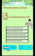 Quiz Quebra Bloco - QQB screenshot 4