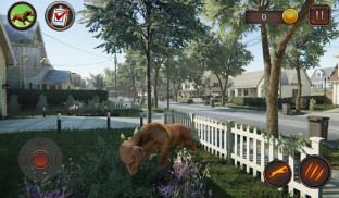 Dachshund Dog Simulator screenshot 23