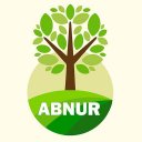 ABNUR I.C.L Icon