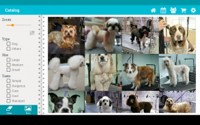 TapGroom Pet Grooming Salon screenshot 23