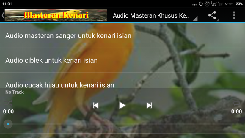 Download suara kenari juara