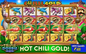 Triple Double Slots - Free Slots Casino Slot Games screenshot 7