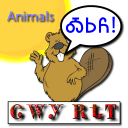 Cherokee Language Animals