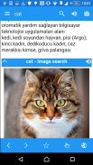 İngilizce-Türkçe Sözlük screenshot 4