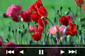 Video Player screenshot 0