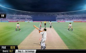 World T20 Cricket Champs 2016 screenshot 9