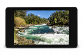 Fluss-Video Live-Hintergründe screenshot 1