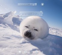 Cute Wallpaper Baby Seal Theme screenshot 4