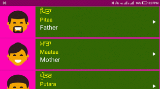 Learn Punjabi From English screenshot 0