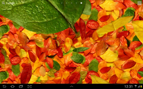 Autumn leaves 3D LWP screenshot 0