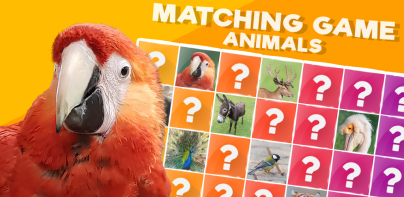 Match Game: Animals