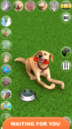 Sprechender Hund John. Virtuelles Haustier Spiel. screenshot 1