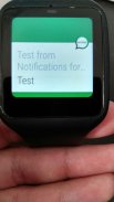 Notifications for Smartwatches screenshot 4