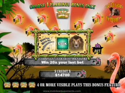 Flamingo Safari Slots FREE screenshot 5