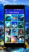 Dolphin Wallpaper screenshot 4